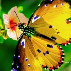 Meet your Posher, Jane